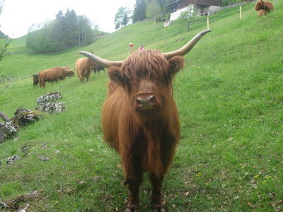 Bild 20 aus  Das Pumphaus