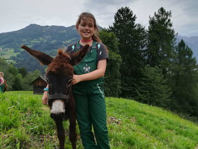 Bild 45 aus  Kinderbauernhof Ierzerhof Pitztal 