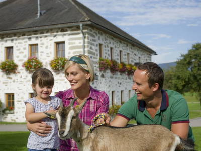 Bild 33 aus  Bauernhof Fischer