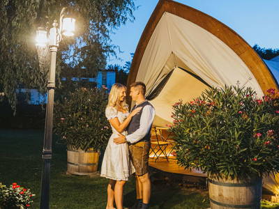 Bild 289 aus  Winzerhof Küssler, Weinviertel