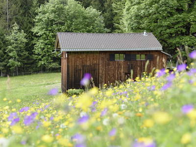 Bild 2 aus  Ferienhütte Birihof