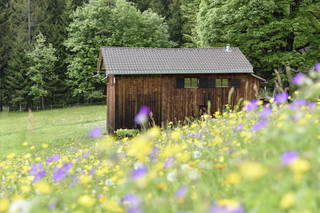 Ferienhütte Birihof aus Laterns