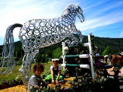 Bild 36 aus Aigner- Holler