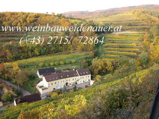 Weinbau Weidenauer aus Weißenkirchen in der Wachau