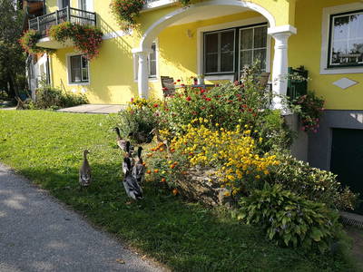 Bild 2 aus  Urlaub am Mayerhof