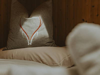 Bild 67 aus  Reitlehenalm