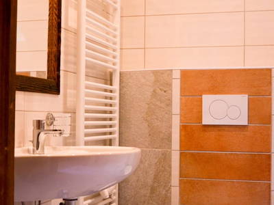 Bild 75 aus  Wohlfühloase Koglerhof