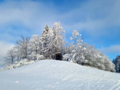 Bild 192 aus  Ferienhof Rabenreith