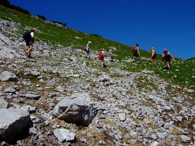 Bild 42 aus  Michlbauer