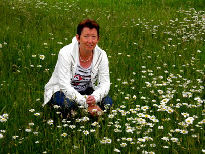 Bild 12 aus Bauernhof Webinger