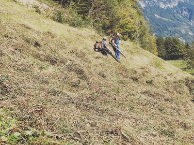 Bild 43 aus  Margreitterhof