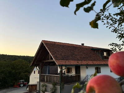 Bild 63 aus  Gschmairer Sonnenhäuschen