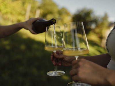 Bild 108 aus  Trattnachtaler Weinhaus