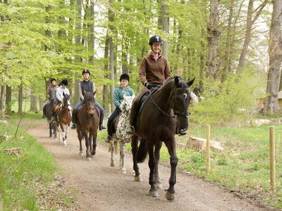 Bild 13 aus  LandSelection Gut Gaarz