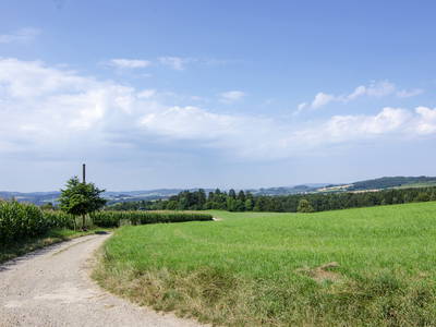 Bild 18 aus  Landurlaub im Sauerland auf dem Ferienhof Verse