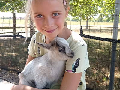 Bild 10 aus  Ferienhaus Meyer