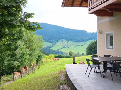 Bild 51 aus  Ferienhaus Untergrünweg