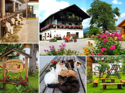 Bild 2 aus  Ferienhof Kandler