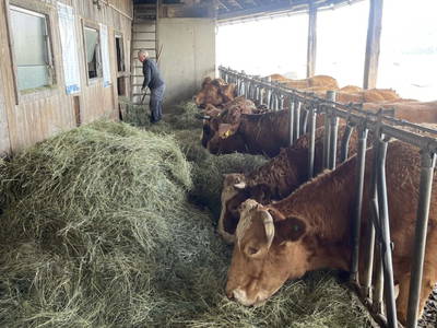 Bild 205 aus  Seewaldhof