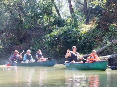 Bild 13 aus  Buchgrabenhof