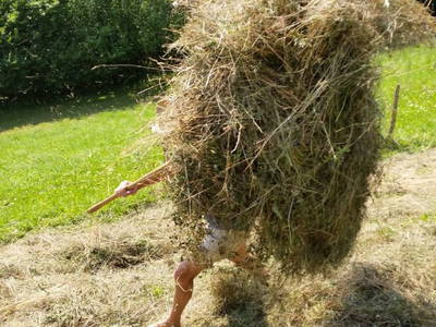 Bild 33 aus  Bergbauernhof Rami 