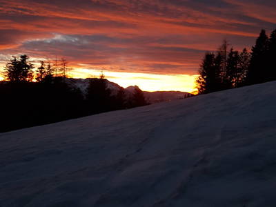 Bild 40 aus  Miglurahof