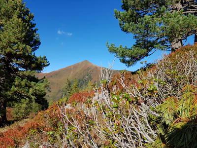 Bild 23 aus  Der Perweinhof