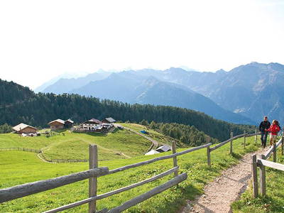 Bild 15 aus  Krebishof