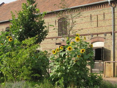 Bild 9 aus  Luisenhof Paretz