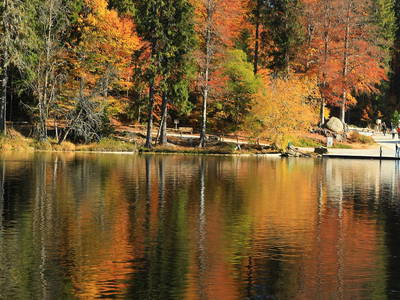Bild 31 aus  Paulas Bauernhof im Bayerischen Wald