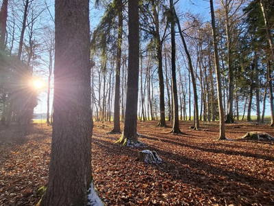Bild 177 aus  Zehentnerhof