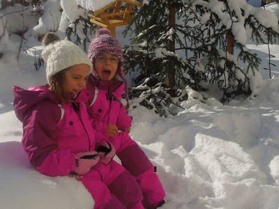 Bild 27 aus  Kinderbauernhof Albeineler Pitztal Tirol