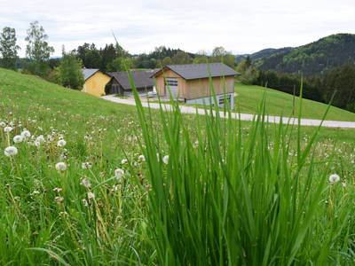 Bild 46 aus  Pointnerhof Aschauer