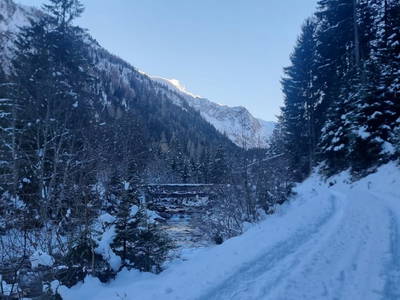 Bild 162 aus  Alfaierhof & Bergheimat