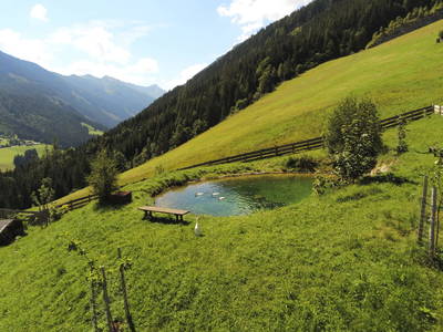 Bild 52 aus  Stegerhof