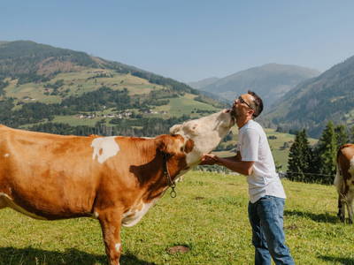 Bild 44 aus  Hattlerhof