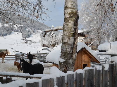 Bild 34 aus  Ferienwohnungen Ranstl