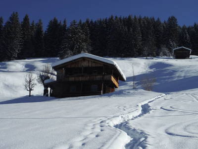 Bild 31 aus  Berghütte Boid