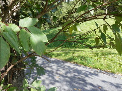 Bild 25 aus  Haizlhof