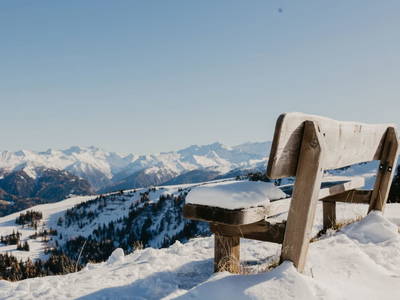 Bild 56 aus  Reitbauernhof