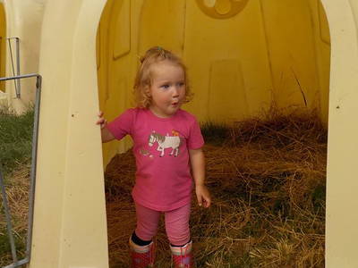 Bild 7 aus  Ferienbauernhof Storchenhäusle