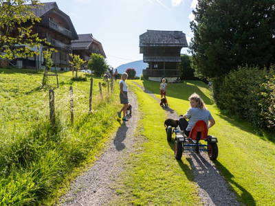 Bild 158 aus  Bio Naturhof Ottingerhof