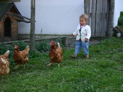 Bild 59 aus  Waldhof