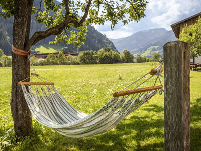 Bild 8 aus  Hinterhub