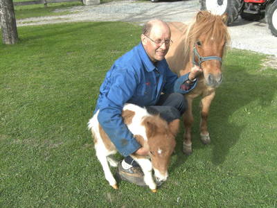 Bild 137 aus  Bauernhof Katin