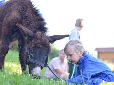 Bild 3 aus  Kinderbauernhof Ierzerhof Pitztal 