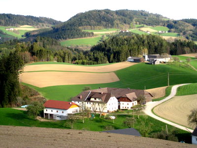 Bild 25 aus Bauernhof Leonhartsberger "Fuchs"