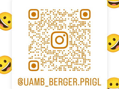 Bild 7 aus  Priglhof