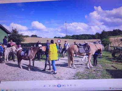 Bild 23 aus  Ferienhof Schnoor