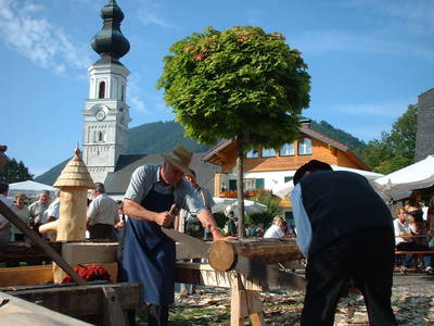 Bild 26 aus Bio-Bauernhof Vordergschwandtgut